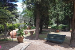 20200613_134731 - Copia