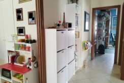 disimpegno1